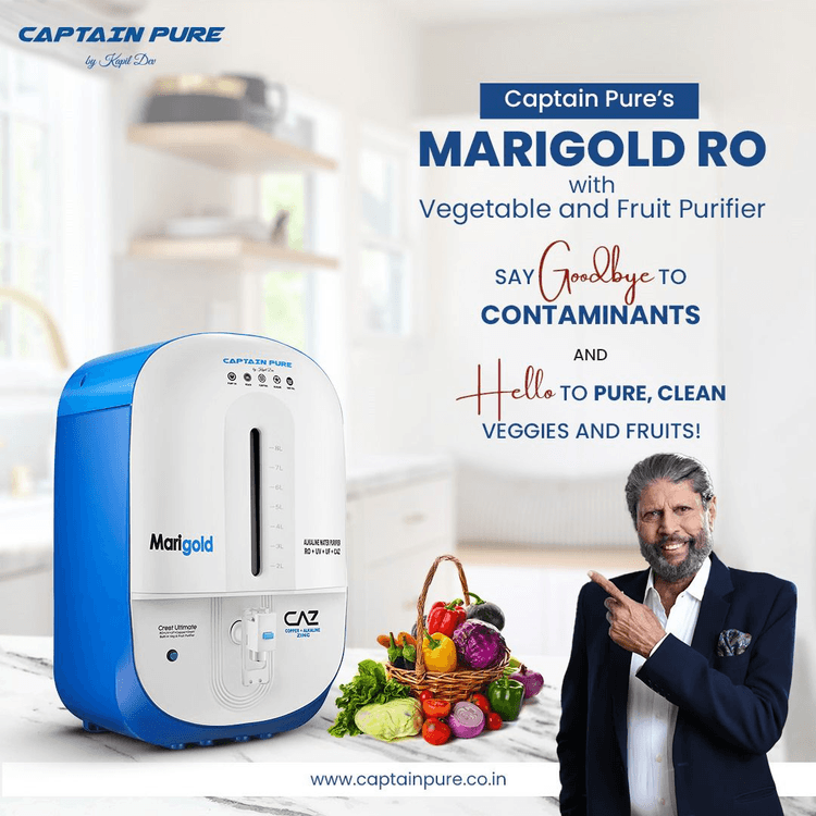 Marigold with Vegetable Purifier
